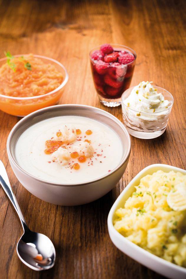 PERFECT MIX 9000 PRO+