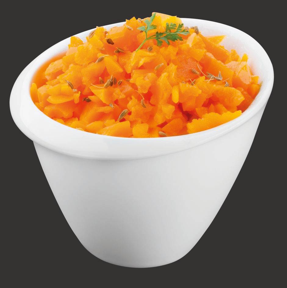 Zerkleinerer Speedy Pro