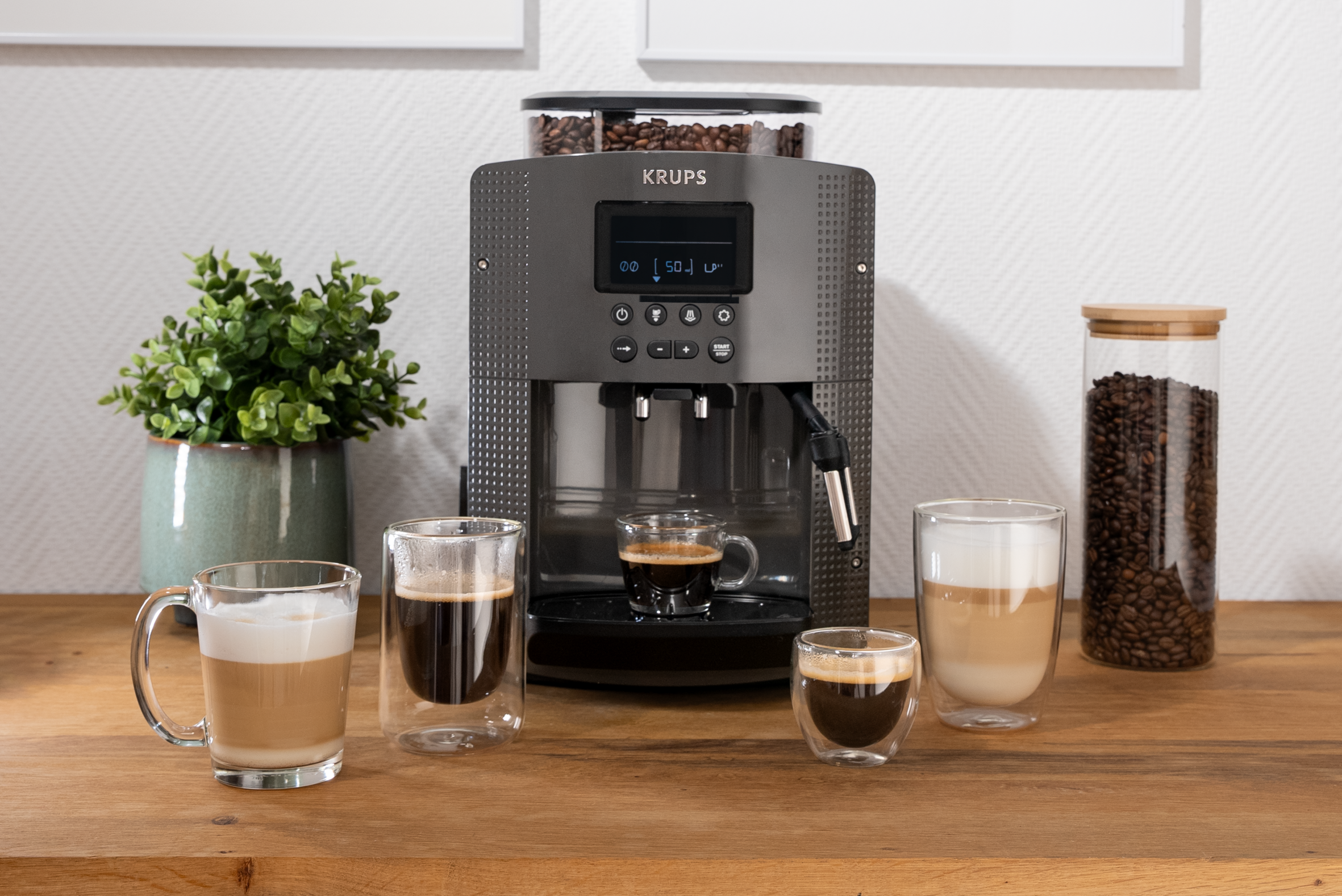 ARABICA DISPLAY EA815B