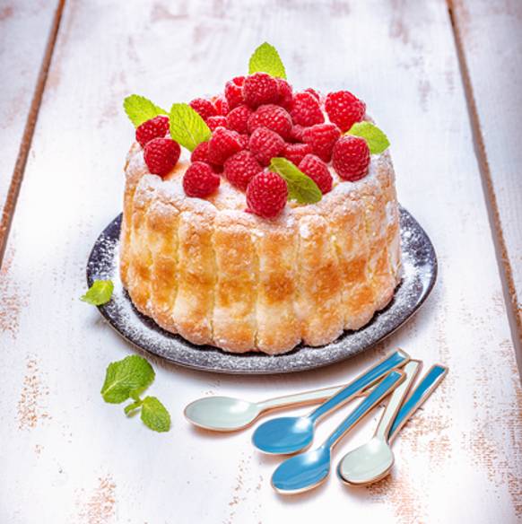 Himbeer-Charlotte - Rezepte Prep & Cook | Krups