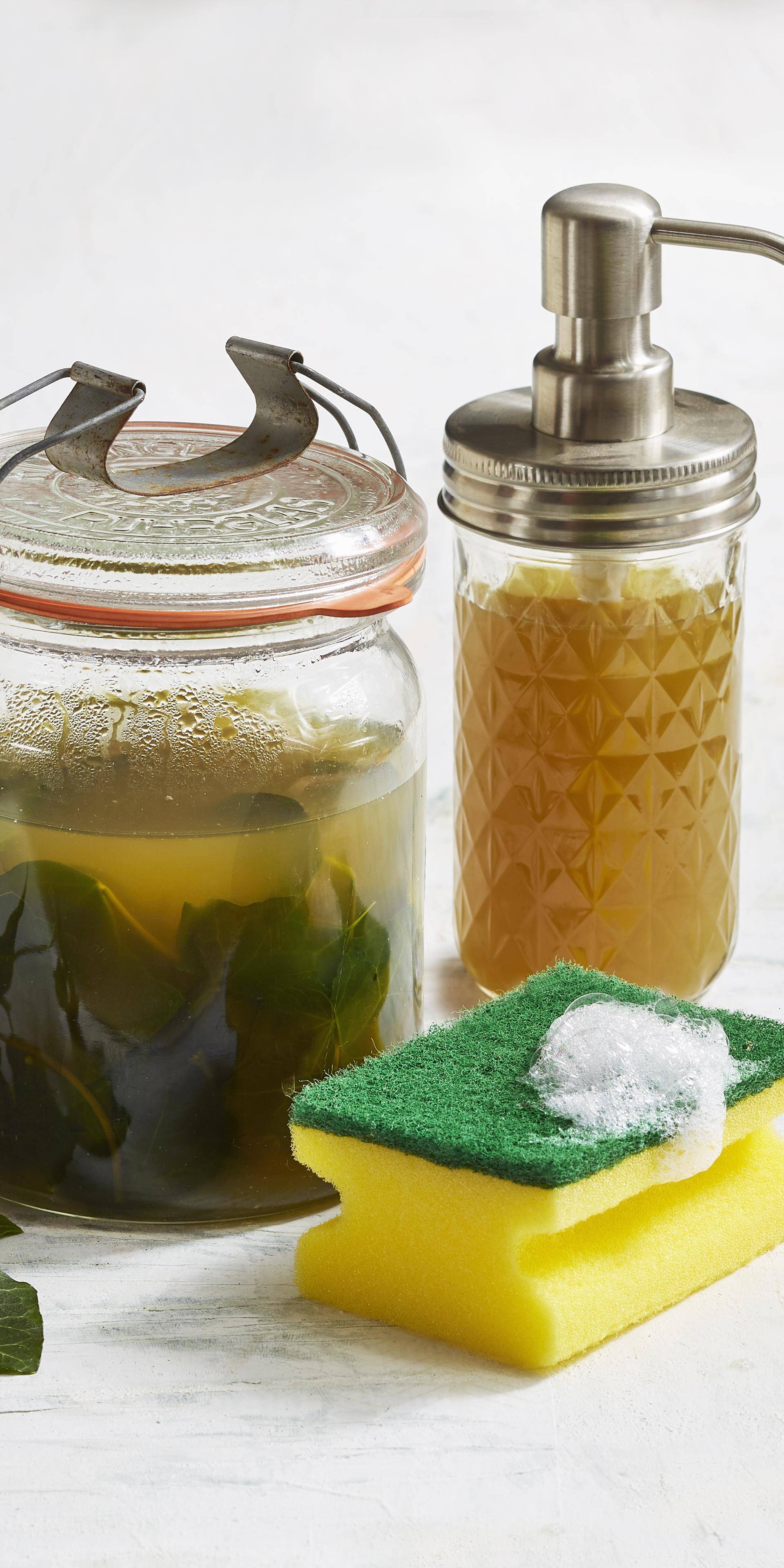 Selbstgemachtes Efeu-Spülmittel - Rezepte Cookeo | Krups