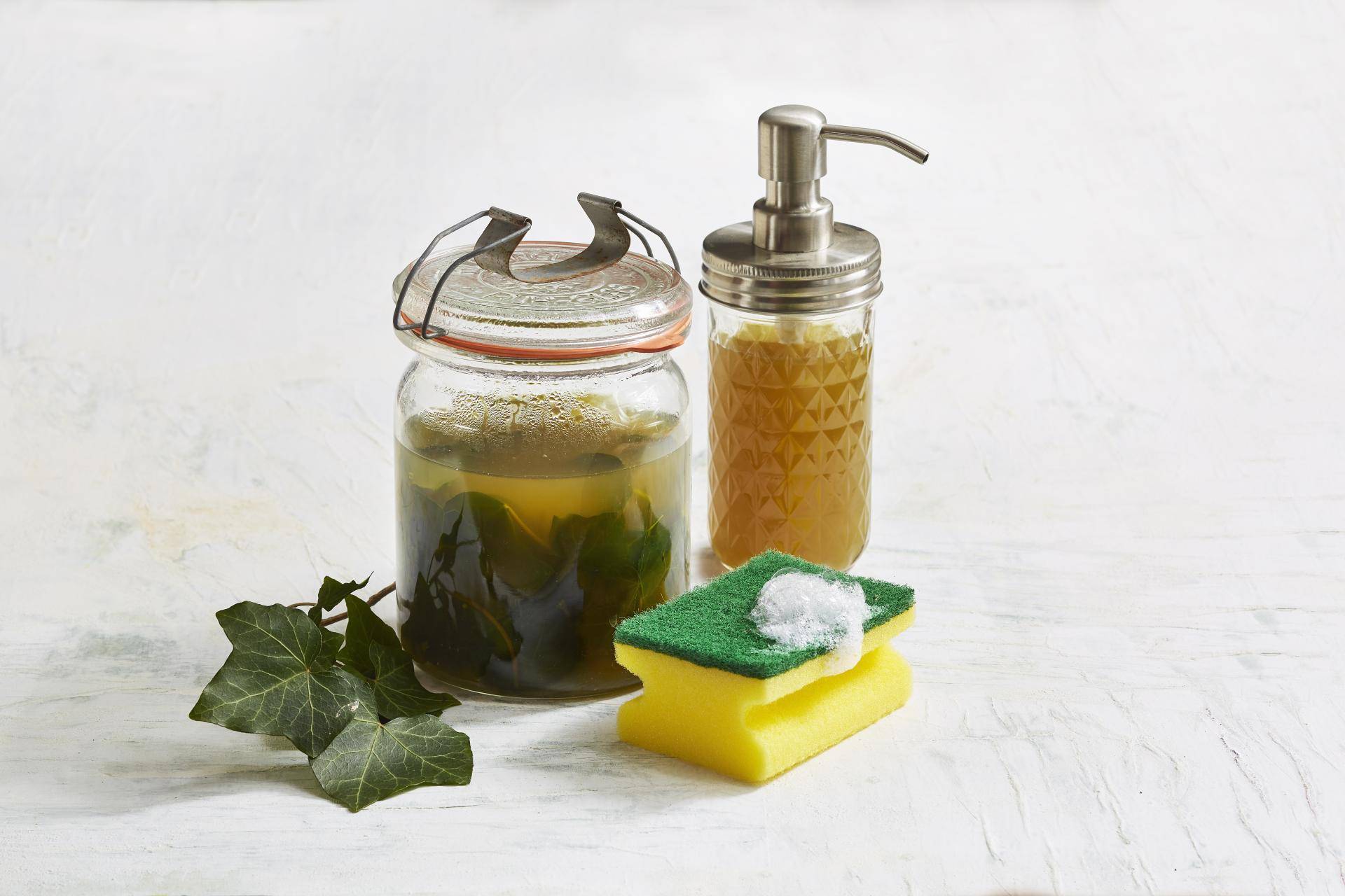 Selbstgemachtes Efeu-Spülmittel - Rezepte Cookeo | Krups