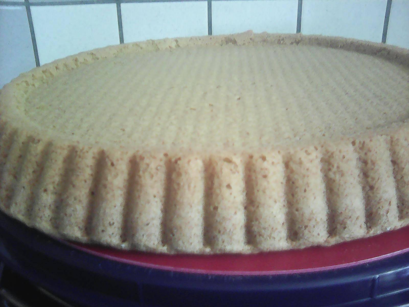 Biskuitboden - Rezepte Prep & Cook | Krups