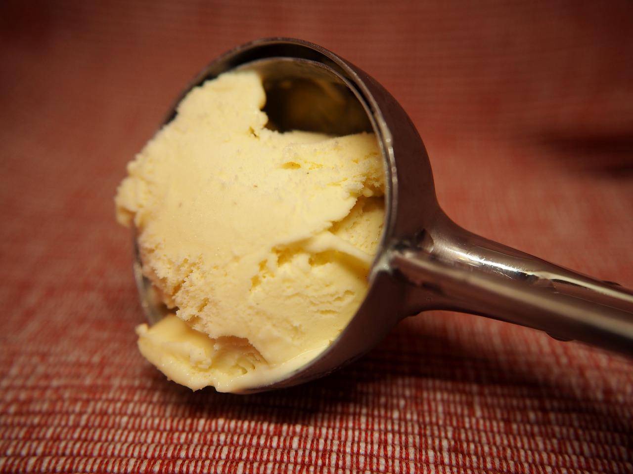 Vanilleeis-Rezept für Eismaschine - Rezepte Prep & Cook XL | Krups