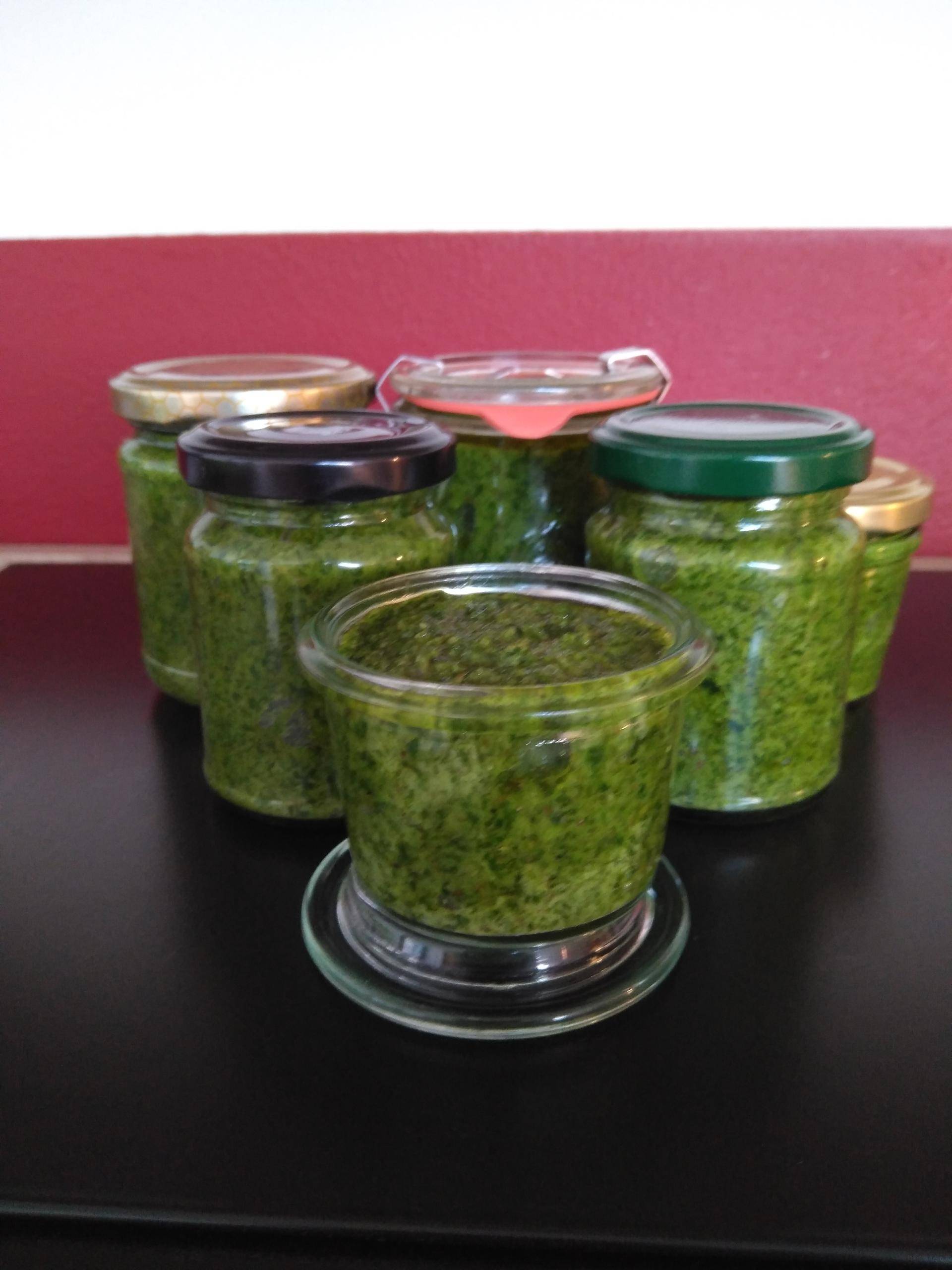 Bärlauch-Walnuss-Pesto - Rezepte Prep & Cook | Krups