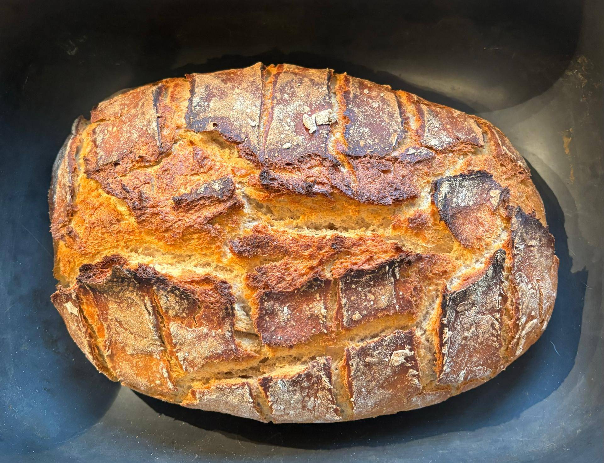 Knuspriges Brot mit Sauerteig und Hafermehl - Rezepte Prep & Cook Connect XL | Krups