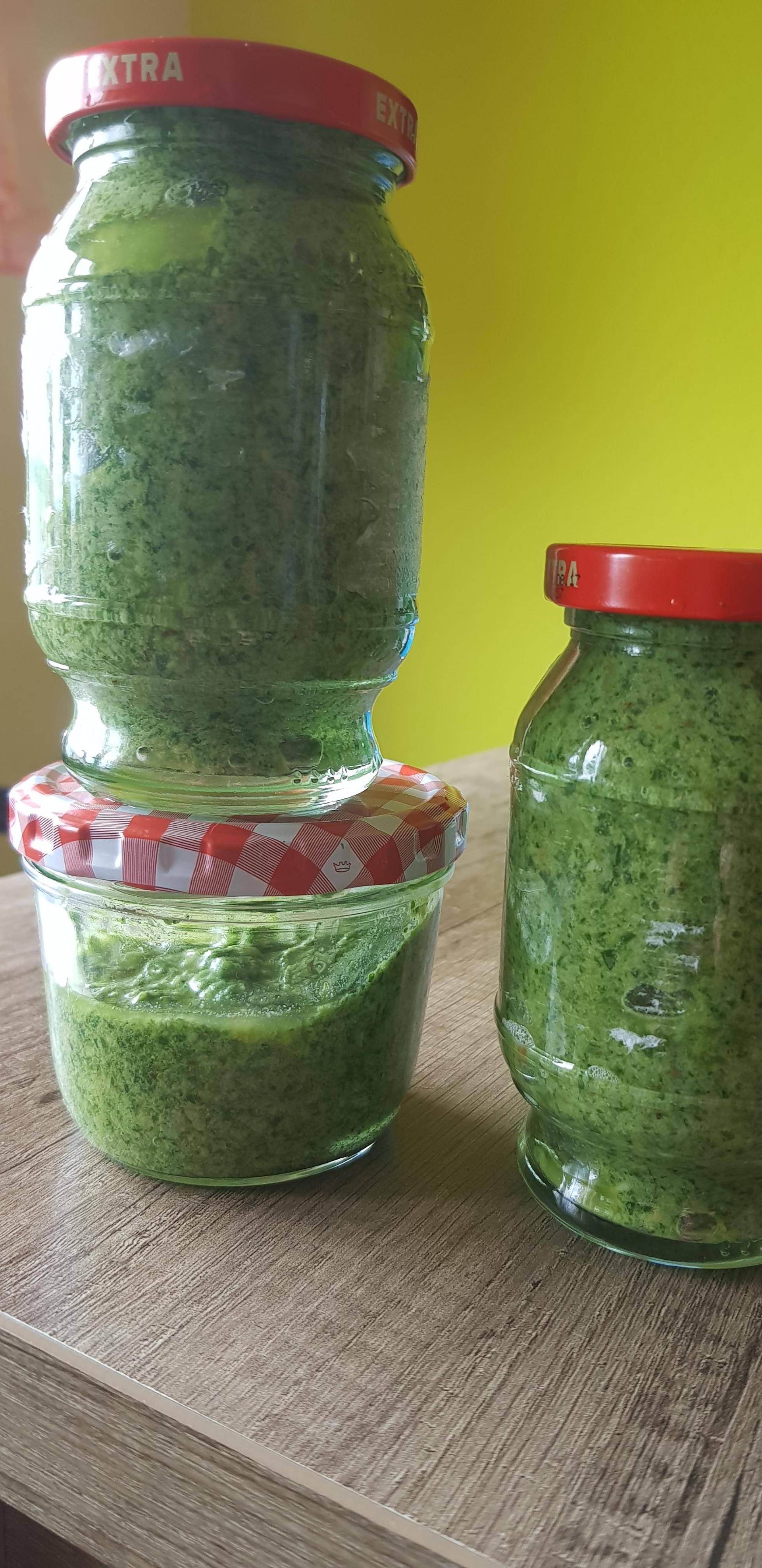 Saueramferpesto - Rezepte Prep & Cook | Krups