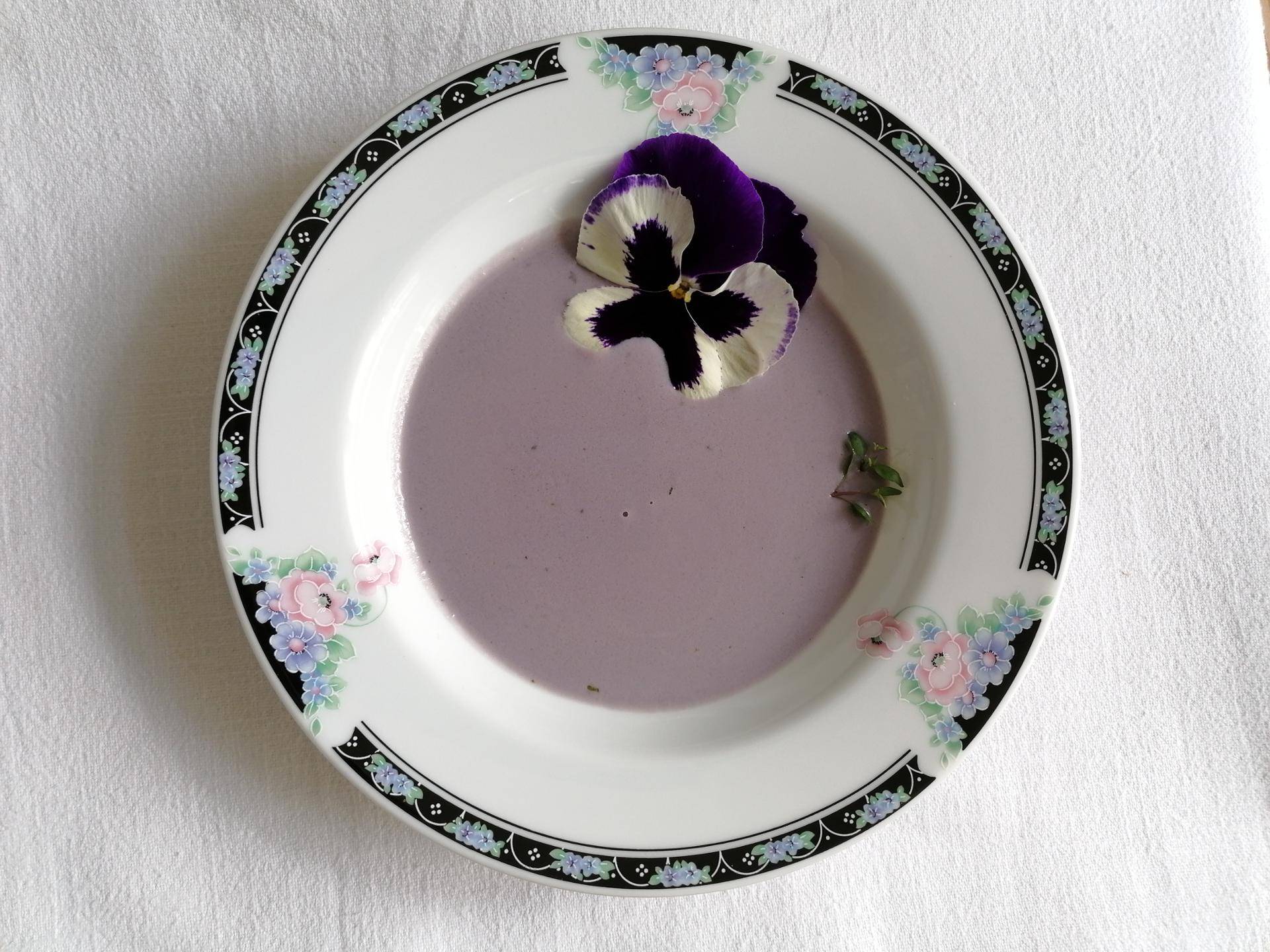 Suppe Violetta - Rezepte Prep & Cook | Krups