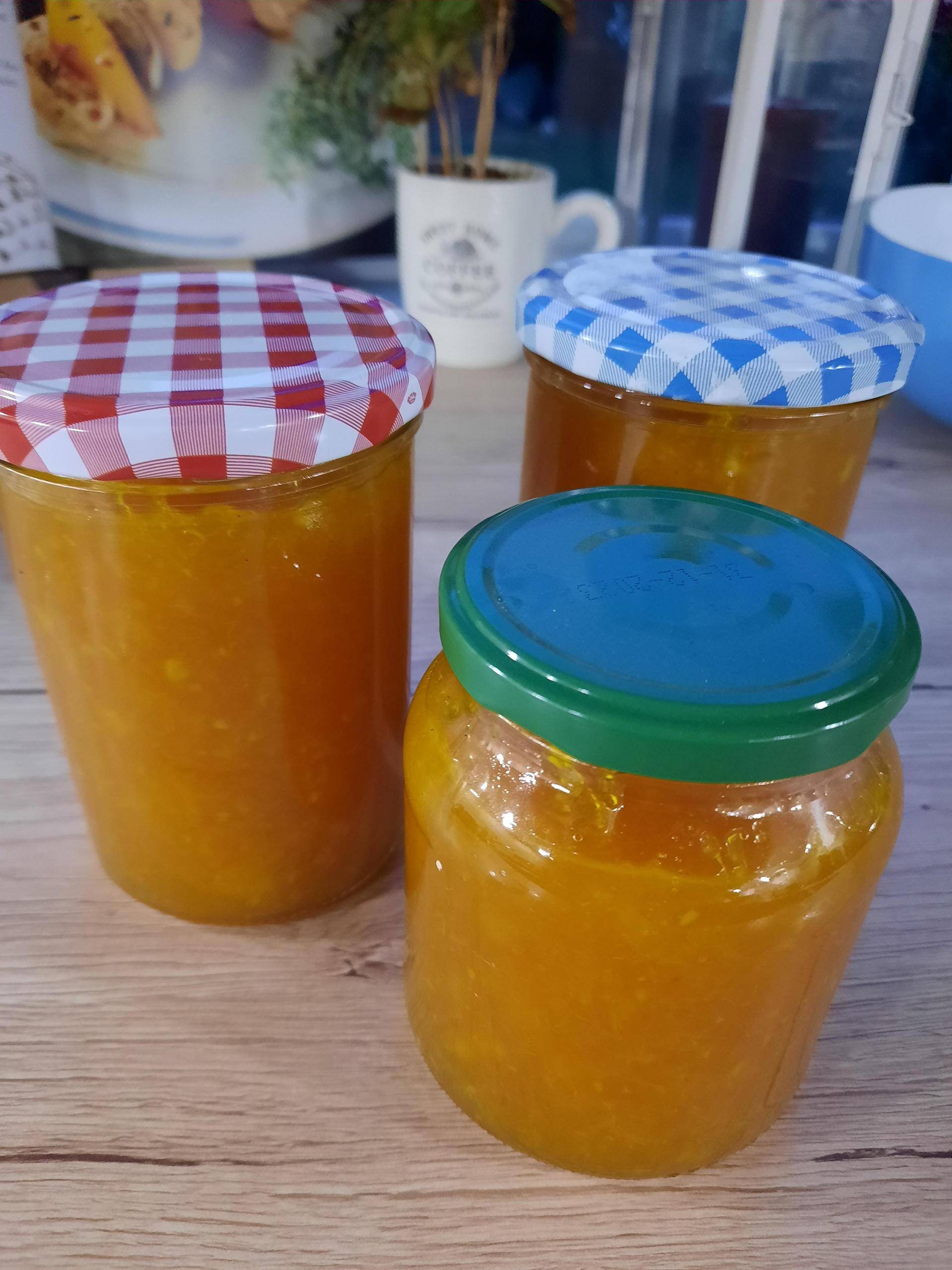 Orangen-Apfel Marmelade mit Ingwer und Kurkuma - Rezepte Prep & Cook | Krups