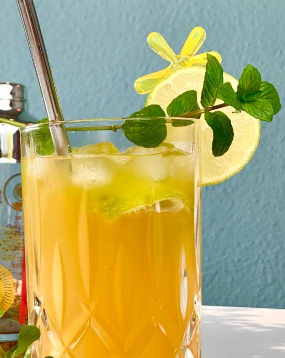 Ipanema - Rezepte Prep & Cook Connect XL | Krups