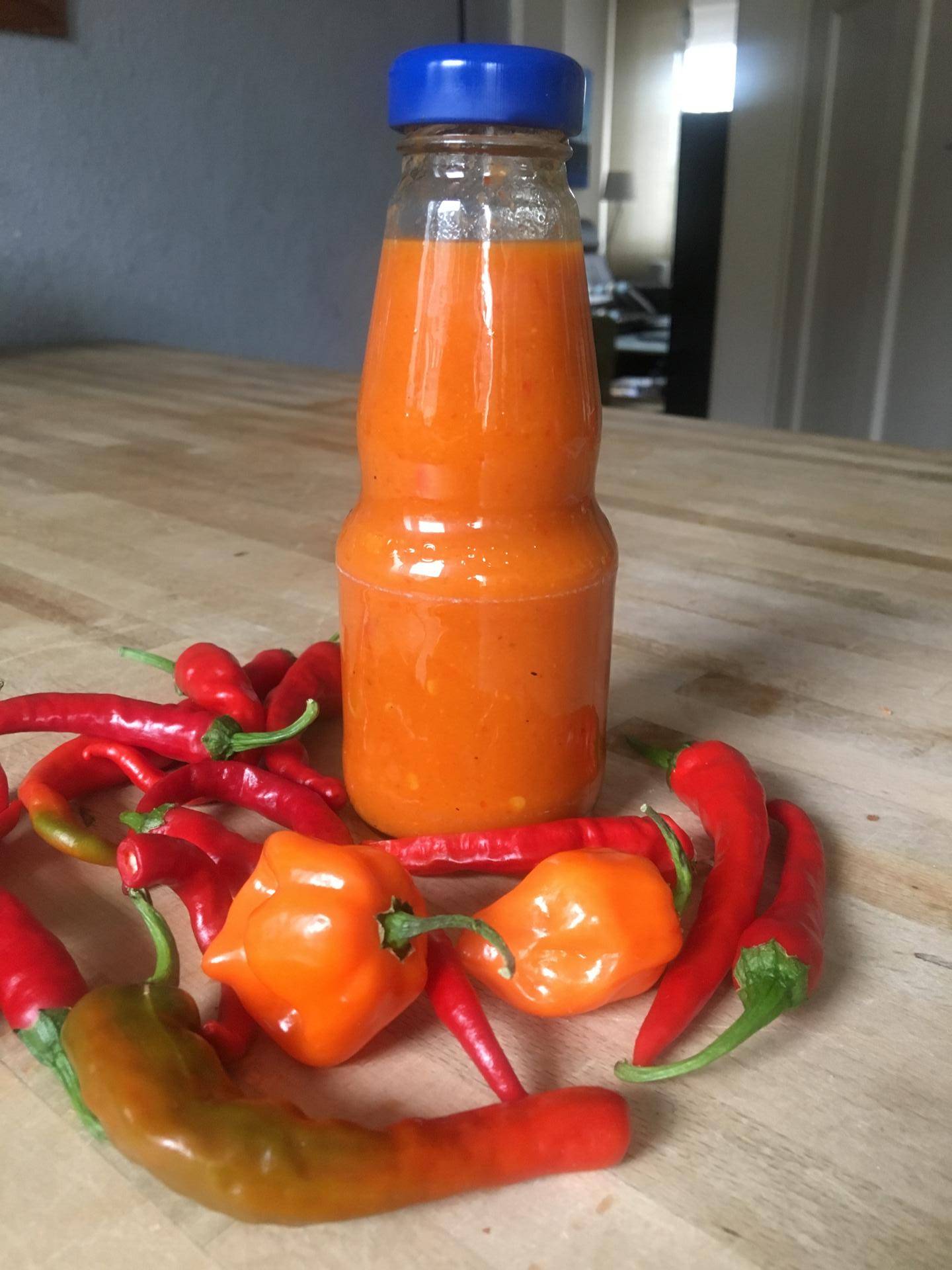 Piri-Piri-Sauce mit Knoblauch - Rezepte Prep & Cook | Krups