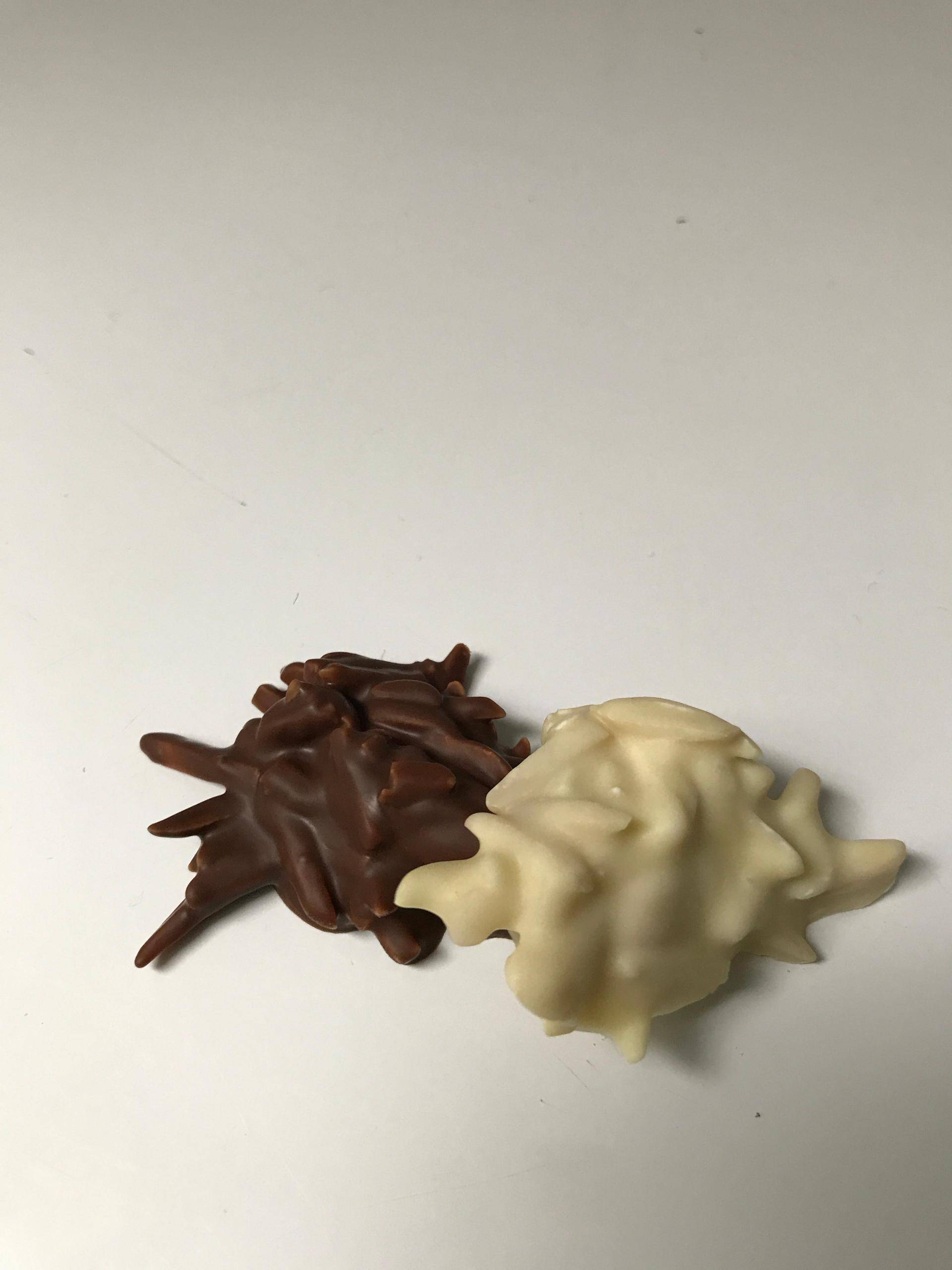 Mandelsplitter - Rezepte Prep & Cook | Krups