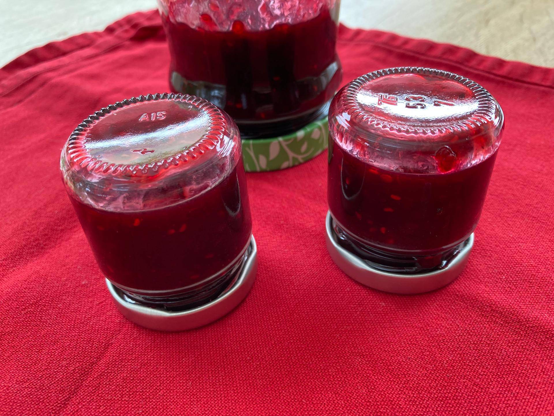 Johannisbeermarmelade - Rezepte Prep & Cook Connect | Krups