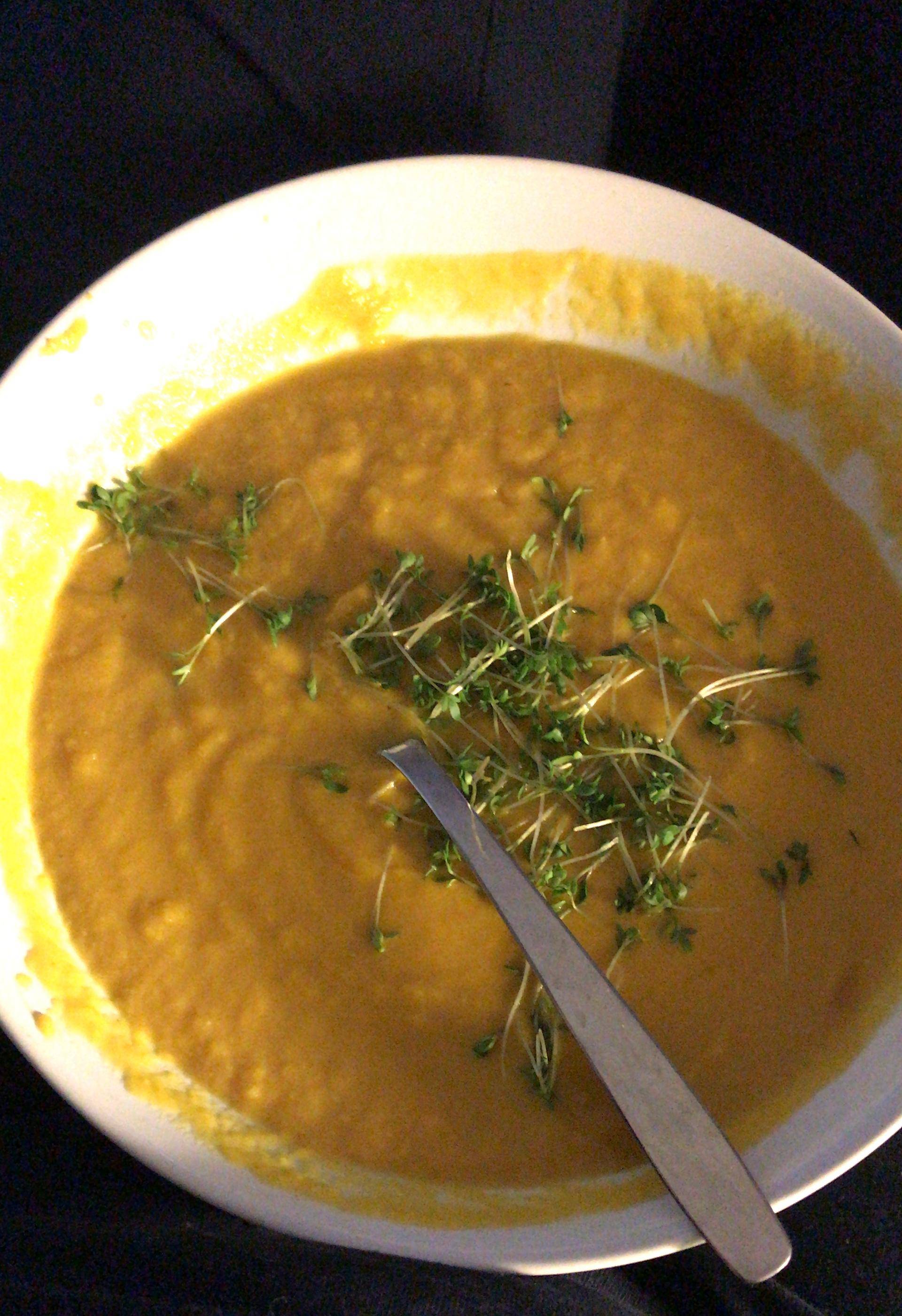 Möhren-Steckrüben-Suppe - Rezepte Prep & Cook | Krups