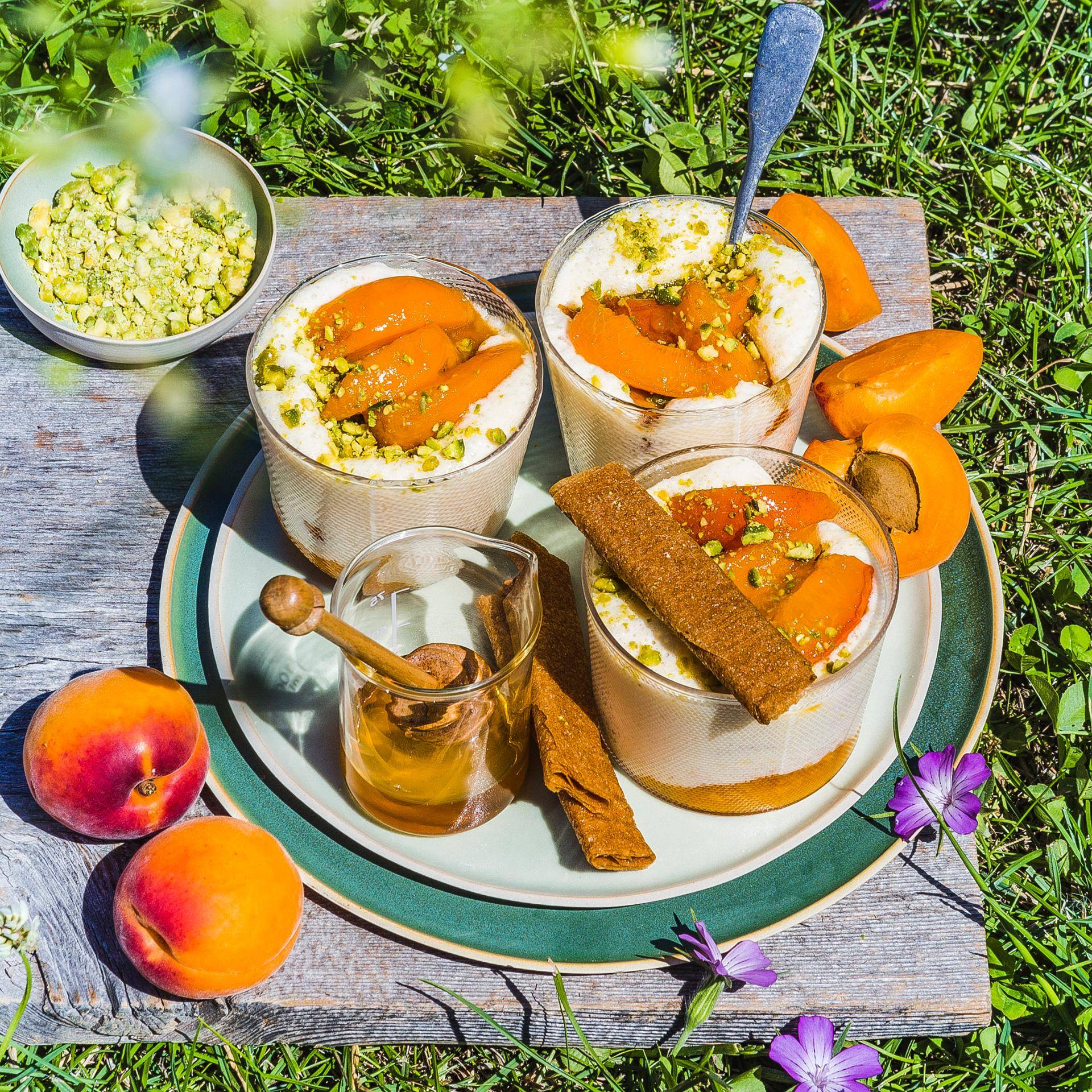 Aprikosencremegläschen - Rezepte Prep & Cook | Krups