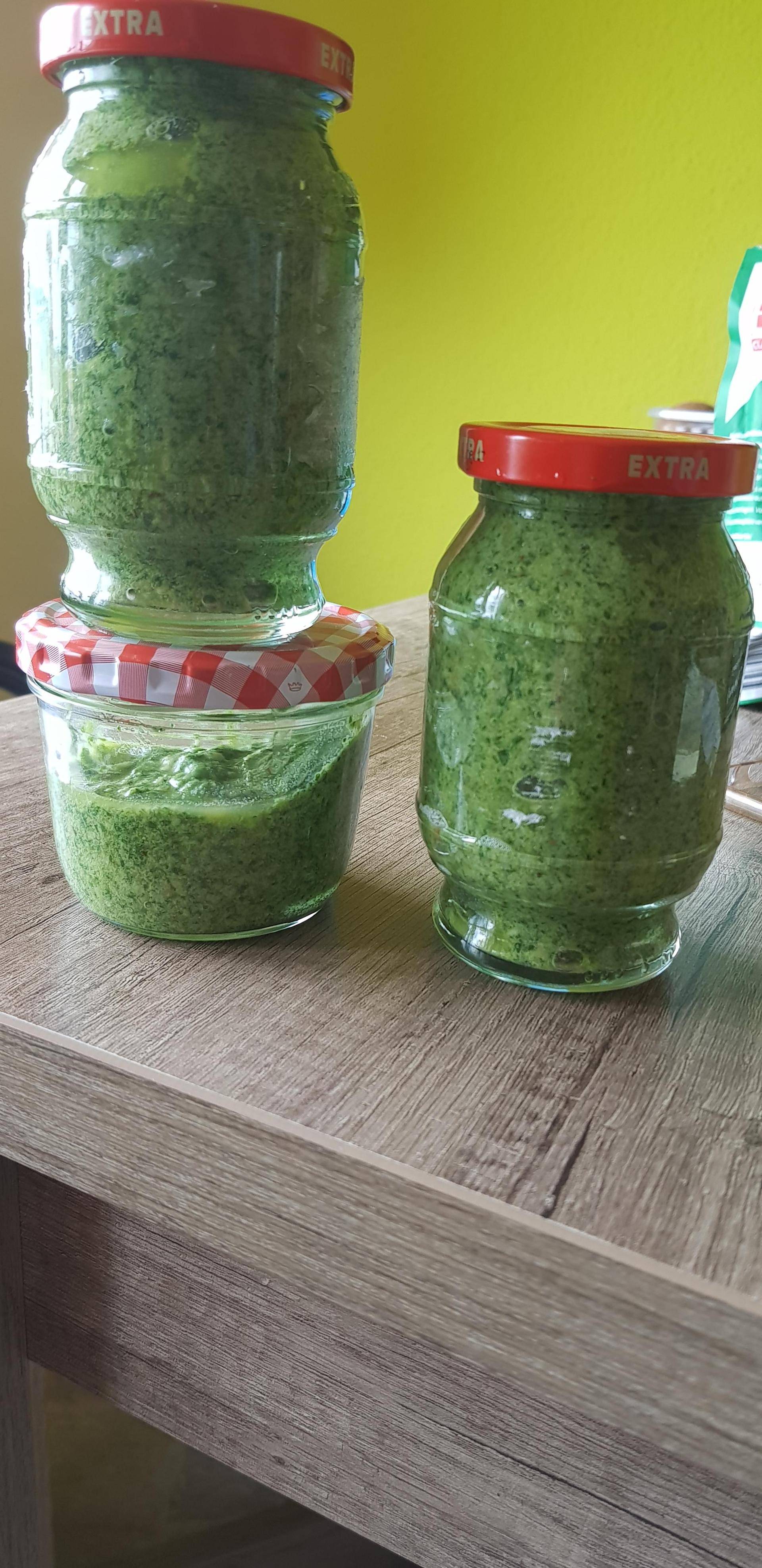 Sauerampfer Pesto - Rezepte Prep & Cook | Krups