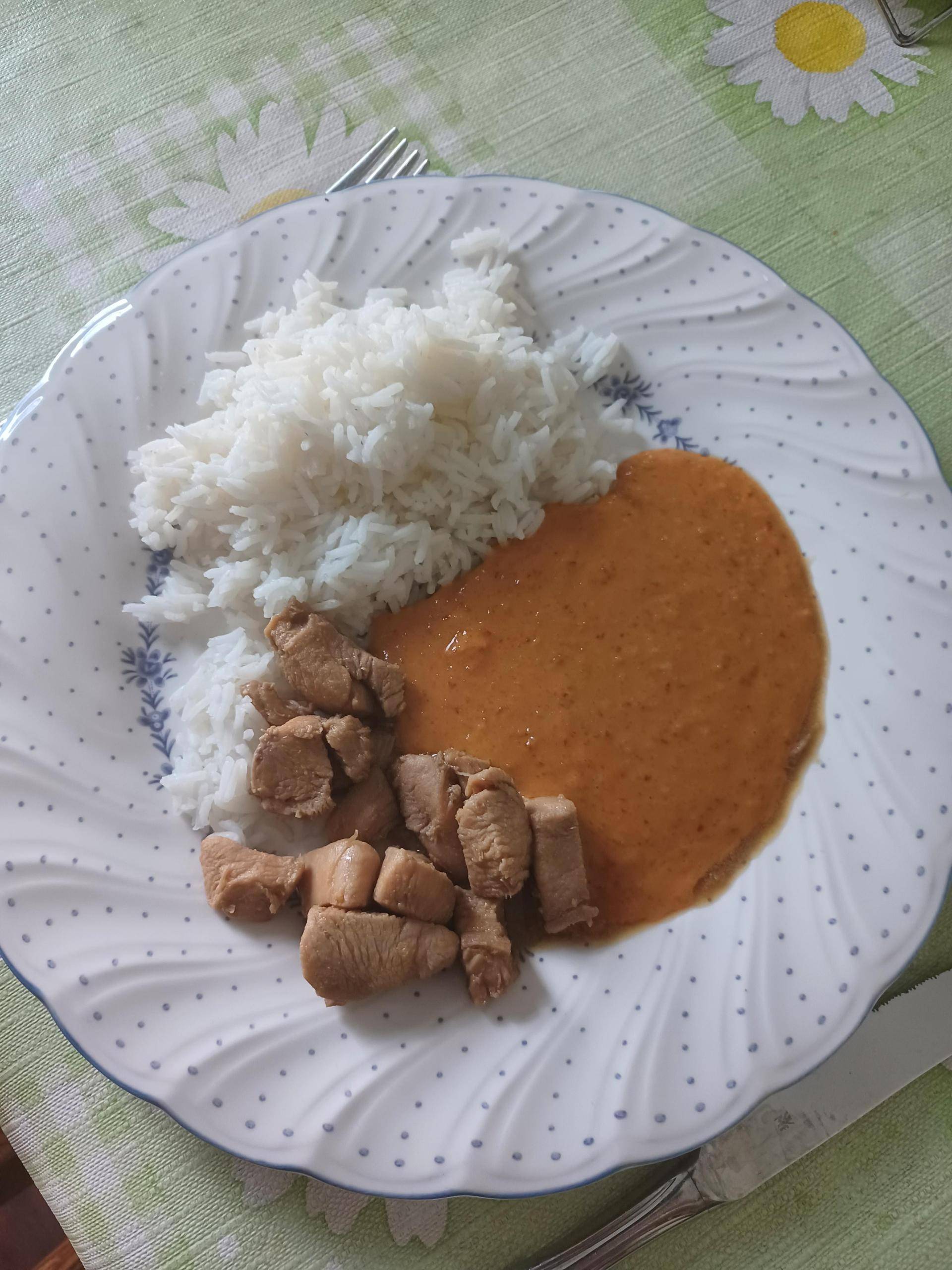 Hähnchenbrustgeschnetzeltes mit Erdnuss Satay Sauce - Rezepte Prep & Cook | Krups