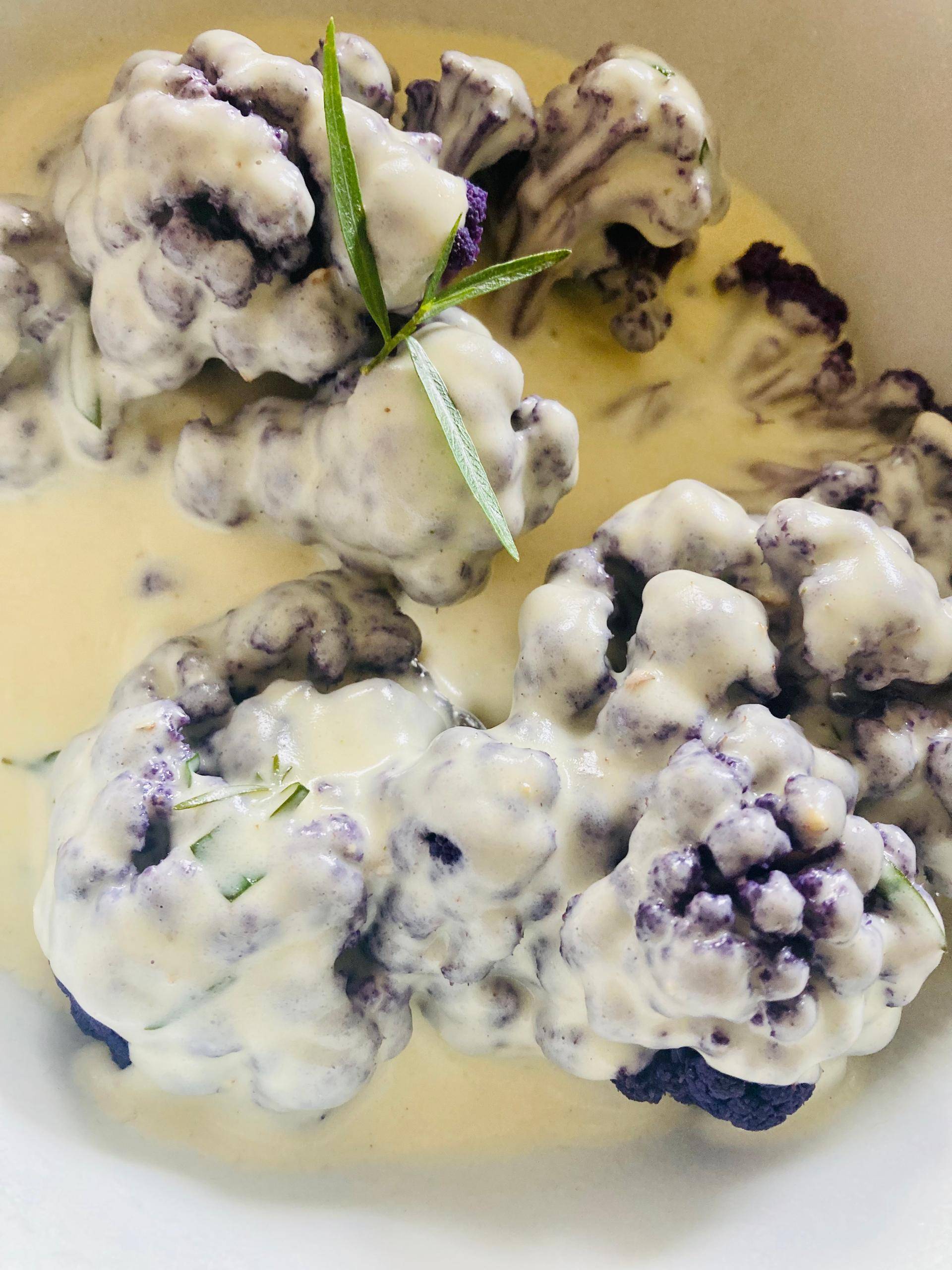 (Lila) Blumenkohl mit Estagon-Béchamel-Soße - Rezepte Prep & Cook | Krups