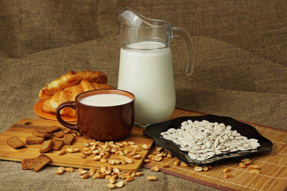 Sonnenblumenkernmilch - Rezepte Perfectmix + | Krups