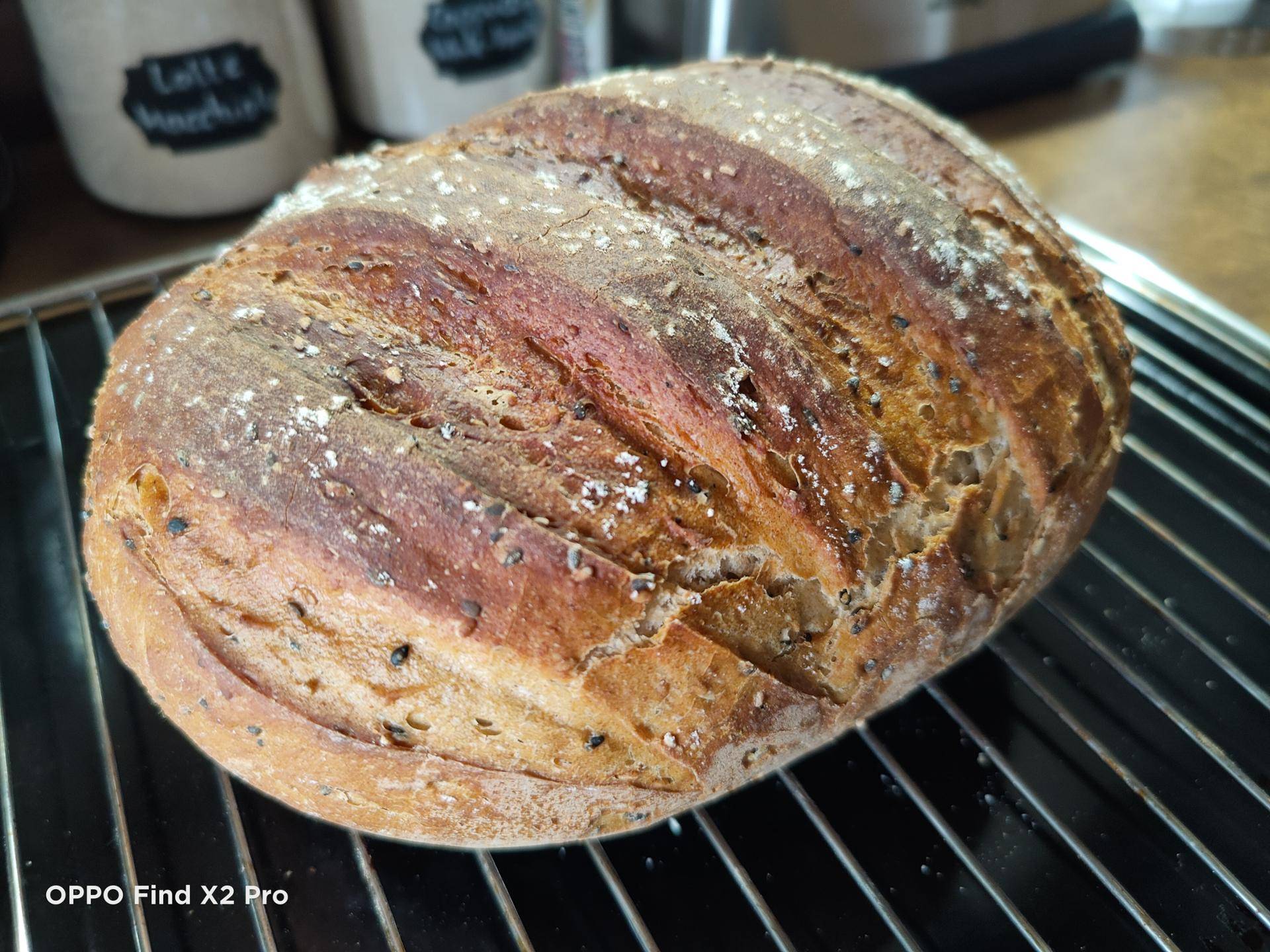 Buttermilch-Sesam Brot - Rezepte Prep & Cook XL | Krups
