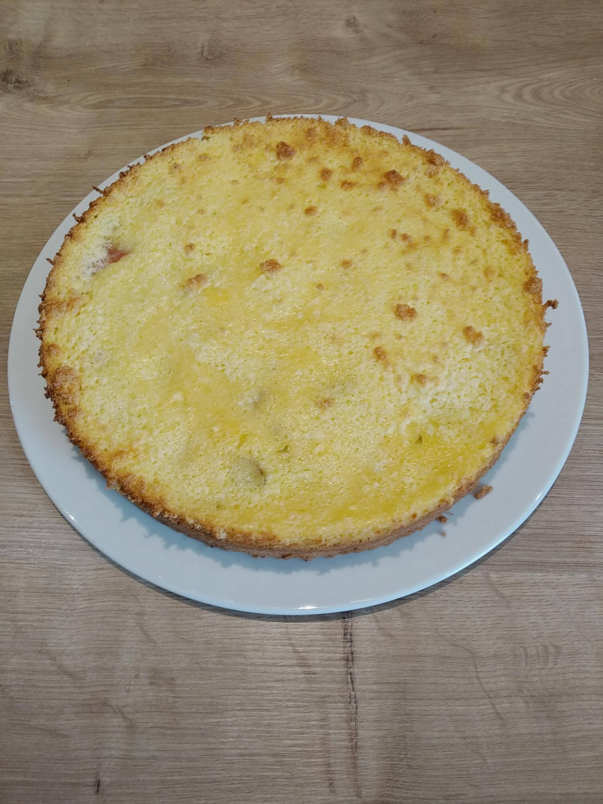 Rhabarberkuchen mit Joghurtpuddingguss - Rezepte Prep & Cook | Krups