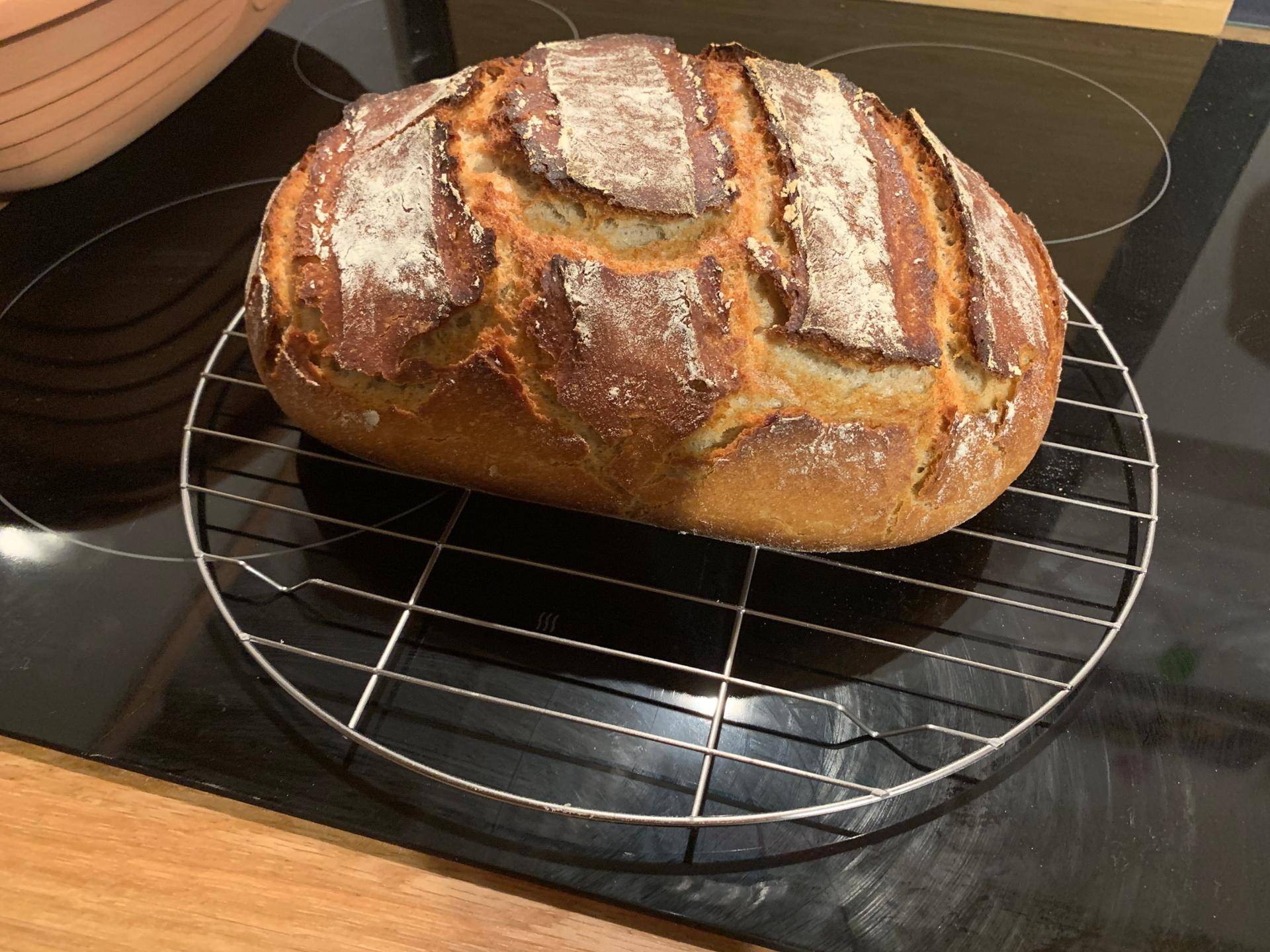 Friss dich dumm Brot - Rezepte Prep & Cook | Krups