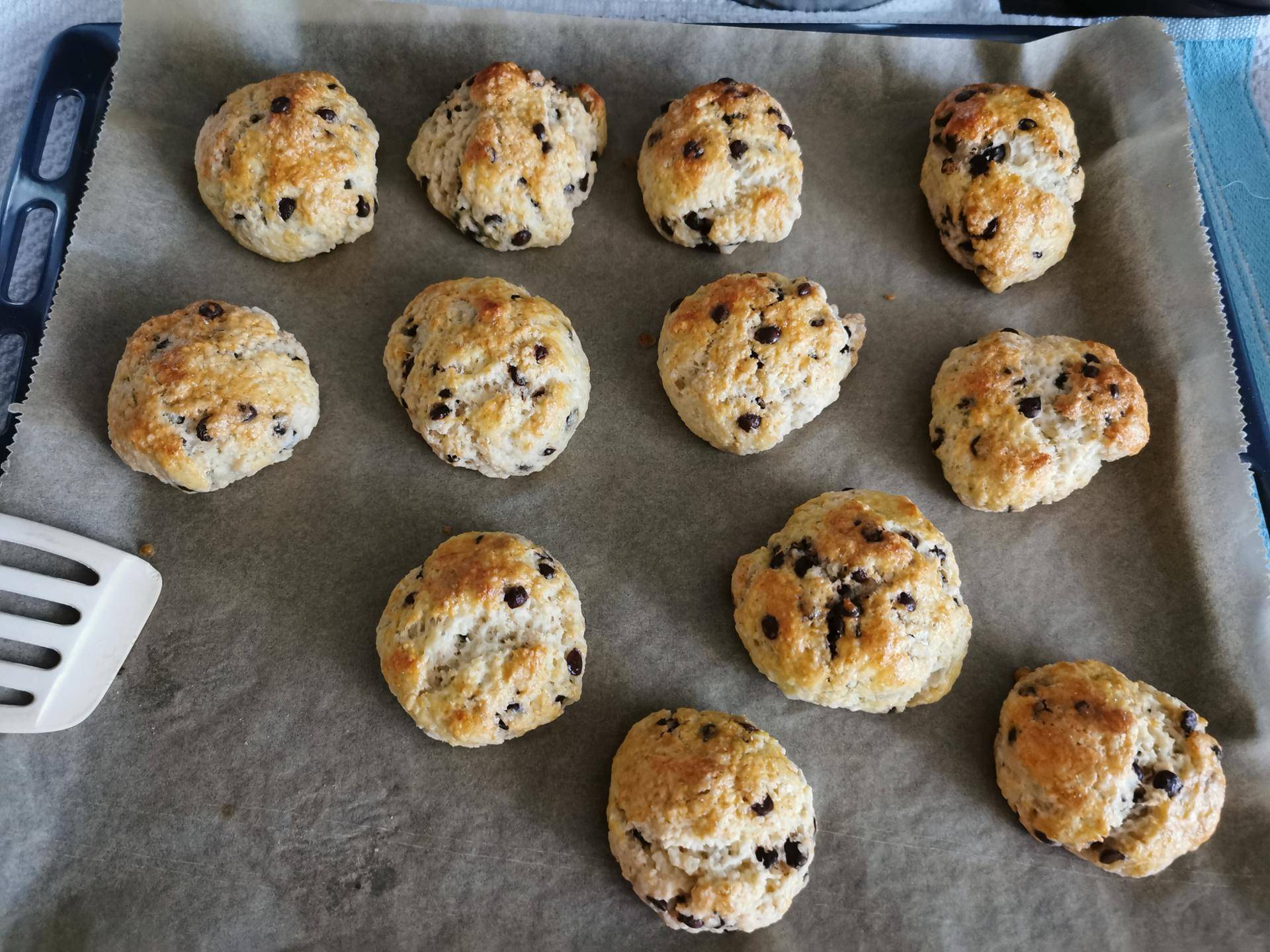 Schokobrötchen (ohne Hefe) - Rezepte Prep & Cook XL | Krups
