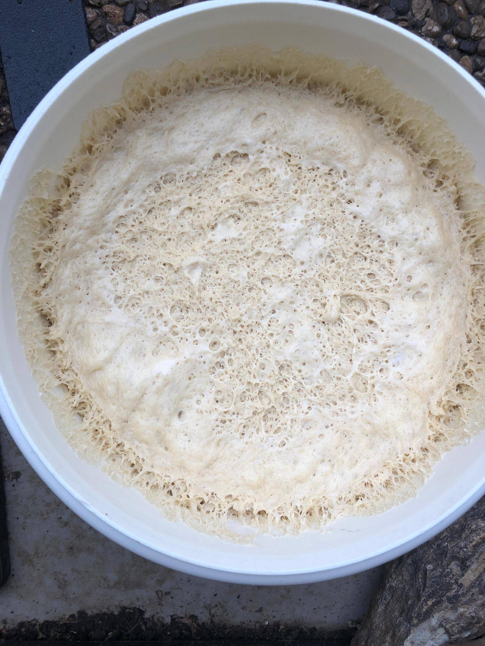 Pizzagrundteig - Rezepte Prep & Cook Connect | Krups