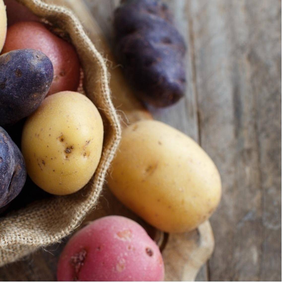 Kartoffeln - Rezepte Prep & Cook | Krups