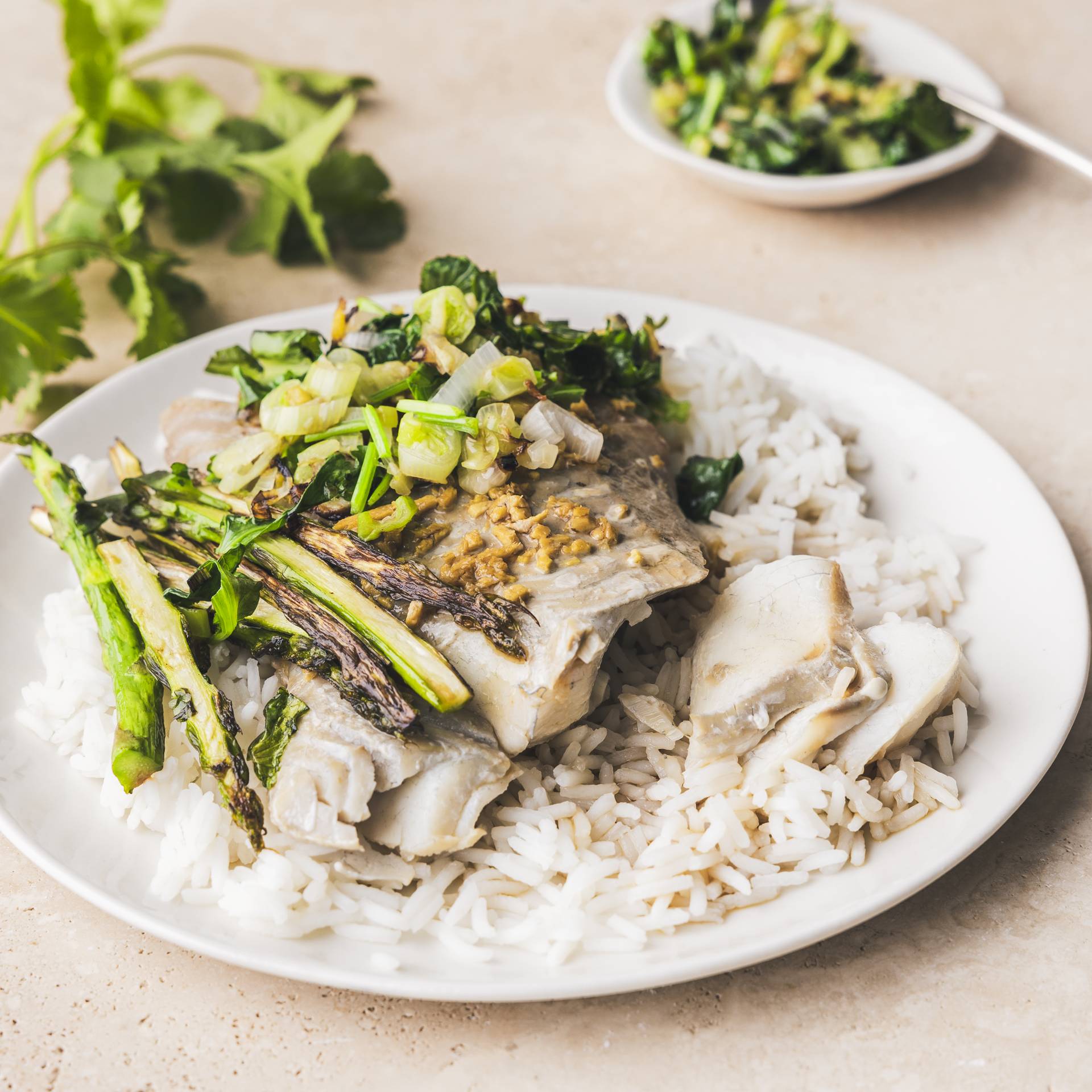 Gedämpfter Fisch auf kantonesische Art - Rezepte Cookeo 9in1 | Krups