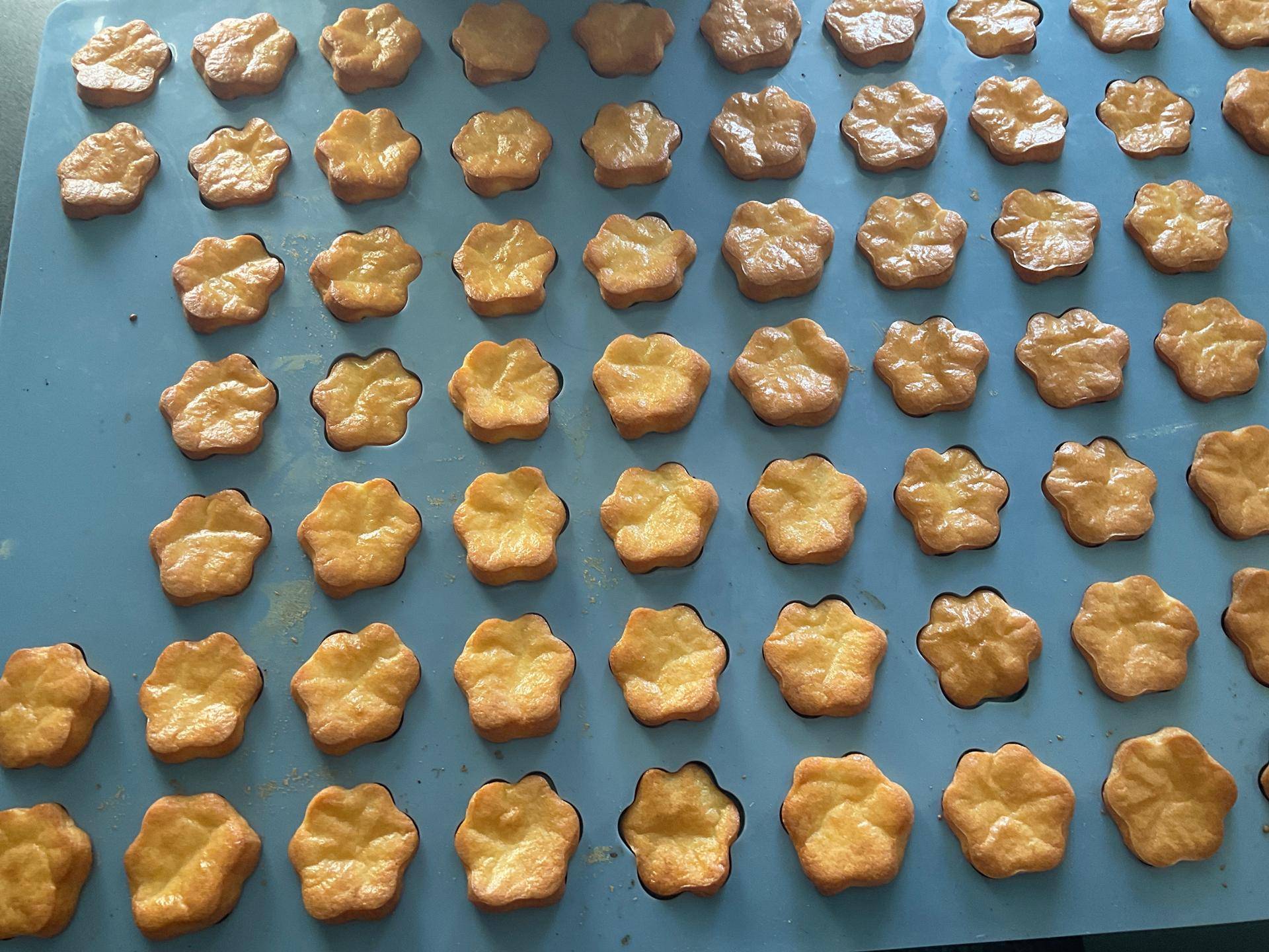 Hundeleckerlies mit Käse (Backmatte) - Rezepte Prep & Cook XL | Krups