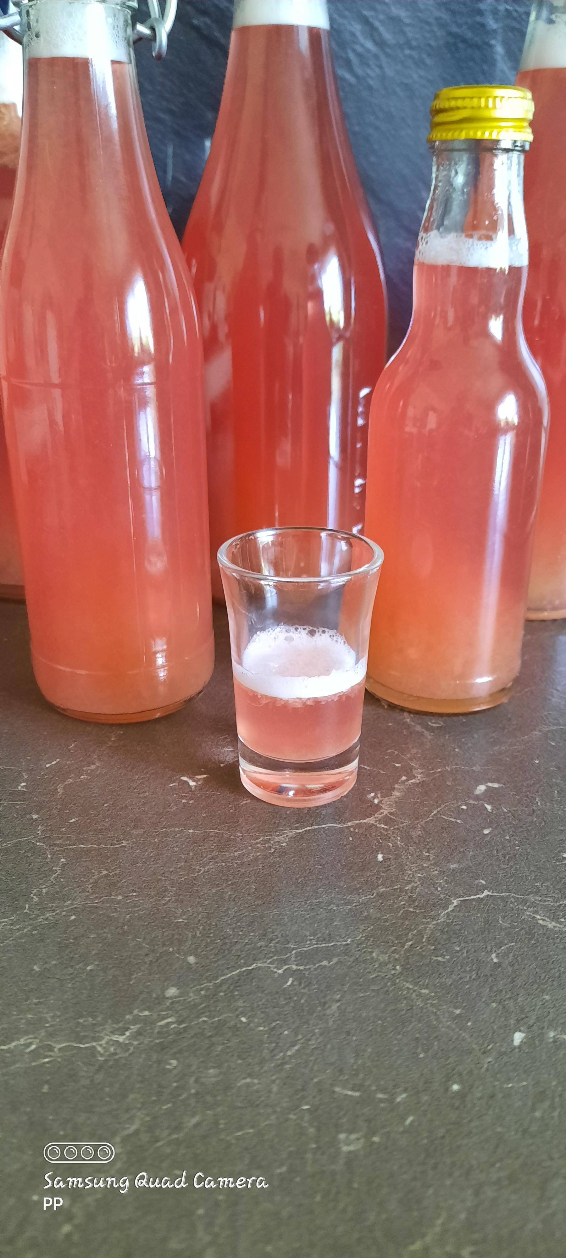 Rhabarber- Vanille Likör - Rezepte Prep & Cook | Krups