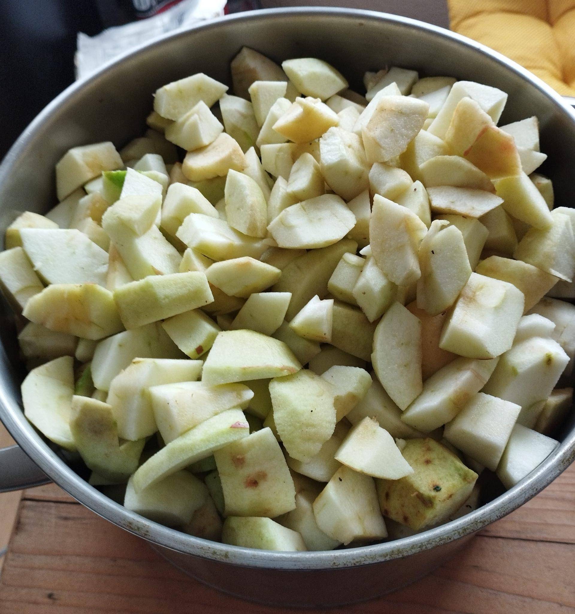 NASHI BIRNE - VANILLE - LIKÖR - Rezepte Prep &amp; Cook Connect XL | Krups