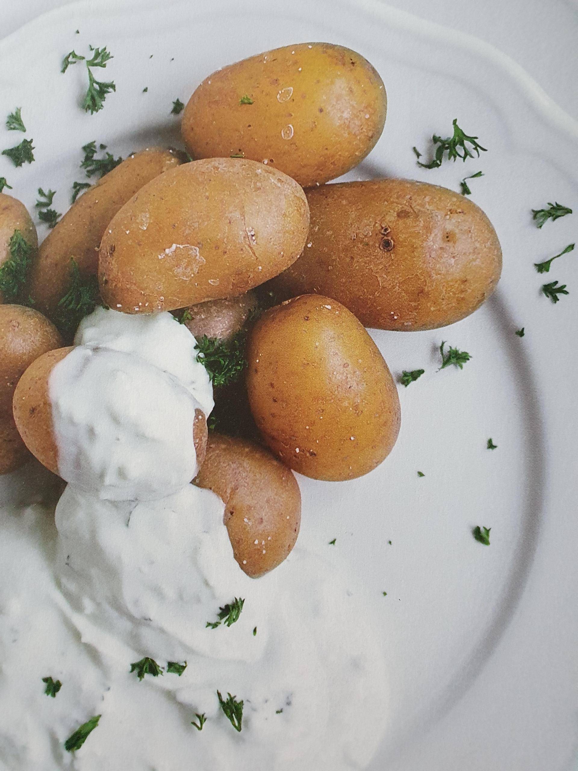 Kartoffelcreme - Rezepte Prep & Cook Connect XL | Krups